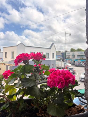 a bunch of pink flowers in a window at Fahertys bar rooms in Oughterard