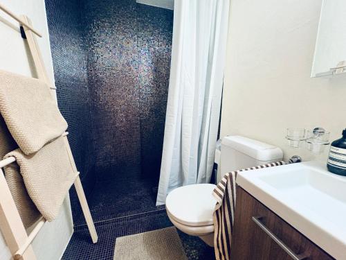 a bathroom with a shower and a toilet and a sink at Villa Fleurettes STUDIO in Le Châble