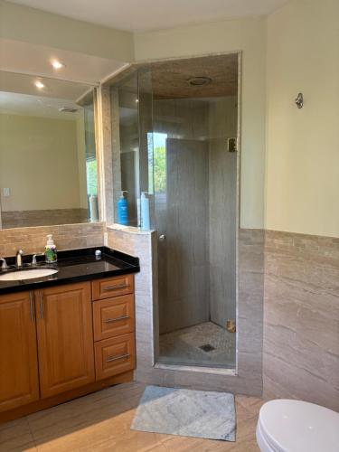 a bathroom with a shower with a sink and a toilet at House in Markham in Markham