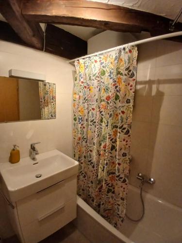 a bathroom with a shower curtain and a sink at Kopffrei auf 1000 m Wohnung 2 in Feldberg