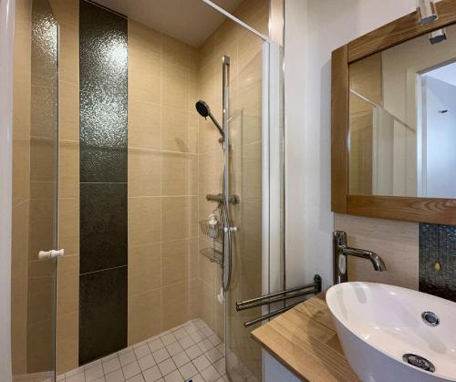 a bathroom with a shower and a white sink at Gîte Théophile Fenal in Badonviller