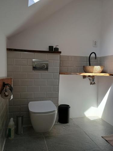 a bathroom with a white toilet and a sink at The hayloft in Grohoţele
