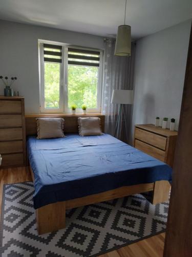 a bedroom with a bed with blue sheets and a window at Apartament Przyjaźń in Tarnowskie Góry