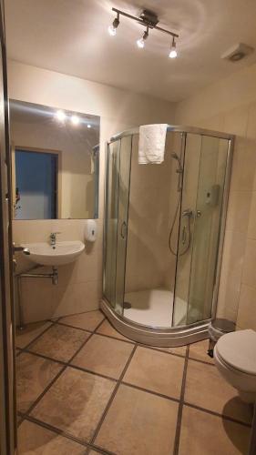 a bathroom with a shower and a toilet and a sink at Ežerėlių sodyba in Ažuluokesa