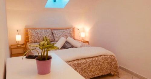Bilocale mansardato zona Corso Buenos Aires MM1-MM2 Lippi 2