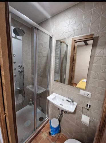 a bathroom with a sink and a shower and a toilet at Casa Rústica Mariana in Lubián