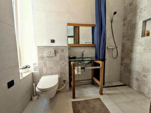 a small bathroom with a toilet and a sink at La chambre de Jeanne in Toul