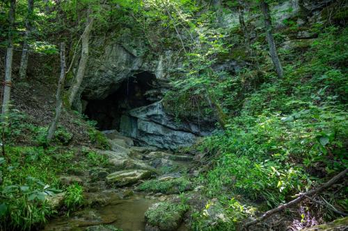 Sojourn Lodging photo 127
