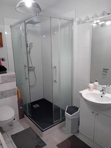 a bathroom with a shower and a toilet and a sink at LES BERNACHES in Le Crotoy