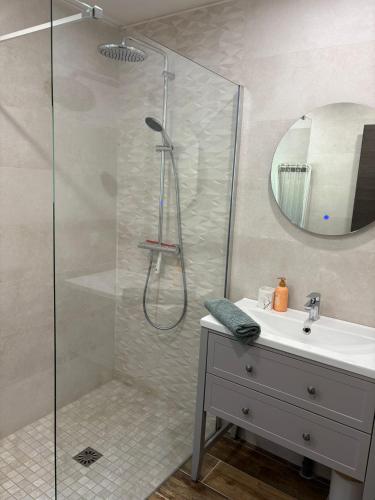 a bathroom with a shower and a sink at Chalet Iris, spa privatif, 4p in Rochesson