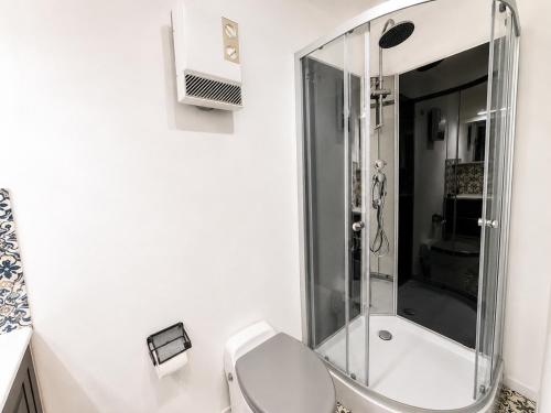 a white bathroom with a shower and a toilet at Le petit Chai in Chémery