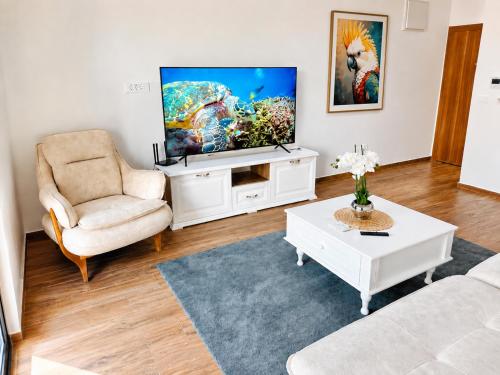 a living room with a tv and a couch and a chair at Swiss Luxury Appartement in Dobra Voda