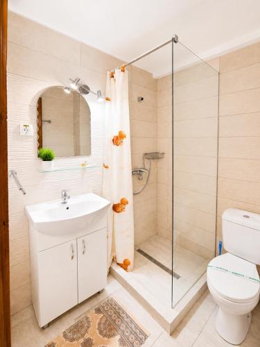 a bathroom with a shower and a toilet and a sink at Pensiunea Sub Piatră in Sălciua de Sus