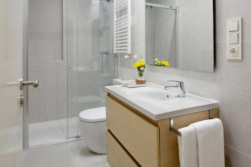 サン・セバスティアンにあるFuenterrabia by FeelFree Rentalsのバスルーム(洗面台、トイレ、シャワー付)