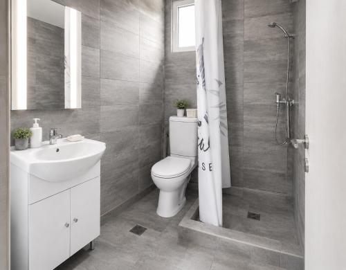 a bathroom with a toilet and a sink and a shower at Vila Matt in Vama Veche