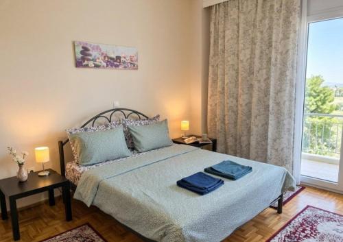 Anthi's luxury home