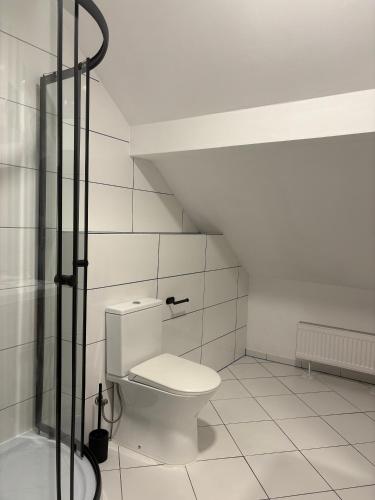 a bathroom with a toilet and a shower at Horiza in Gdańsk