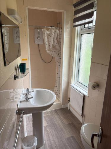 a bathroom with a sink and a toilet at The Burlington Hotel in Torquay