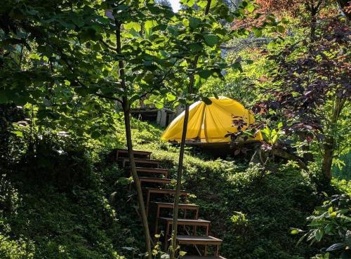 a yellow umbrella and wooden stairs in a garden at Forest & Sea Campsite in Ts'ikhisdziri