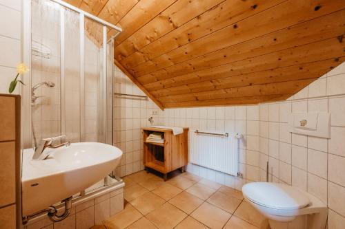 a bathroom with a sink and a toilet at Balsnhof in Chamerau