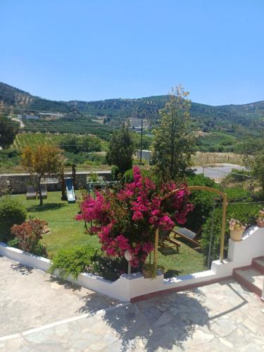 a bunch of flowers in a garden with a view at Verdalia Private Holiday House in Stavrákia
