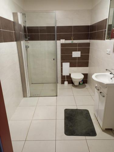 a bathroom with a shower and a toilet and a sink at Studio Klicperova in Chlumec nad Cidlinou