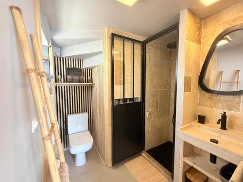 a bathroom with a toilet and a sink and a mirror at La maison du père Bellessort in Régnié