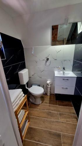 a bathroom with a white toilet and a sink at Ariel 2 Vendégház in Pilismarót