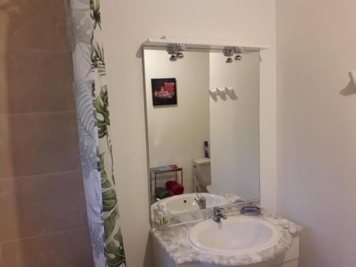 a bathroom with a sink and a mirror at Le camphrier in Salazie