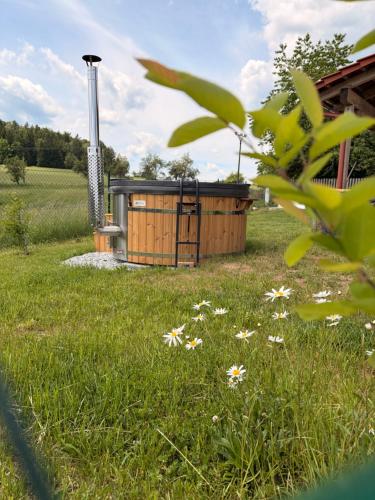 a wooden building in a field with flowers in the grass at Chalupa Radouň in Jindřichŭv Hradec