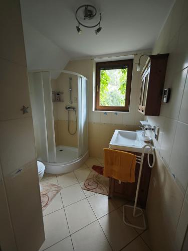 a bathroom with a sink and a shower and a toilet at Wiesiówka nad Wkrą in Goławice