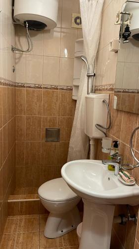 a bathroom with a toilet and a sink at Golden Grape House in Budva