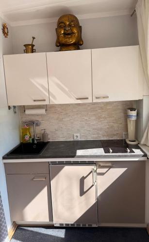 Vienna Business-Apartment 1-6 months