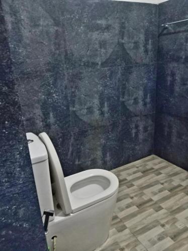 a bathroom with a white toilet and a blue wall at The Villa Rochelle Kandy in Kandy