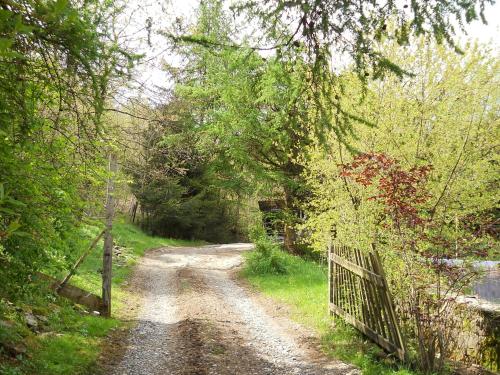 Naturlandschaft in der Nähe der Pension