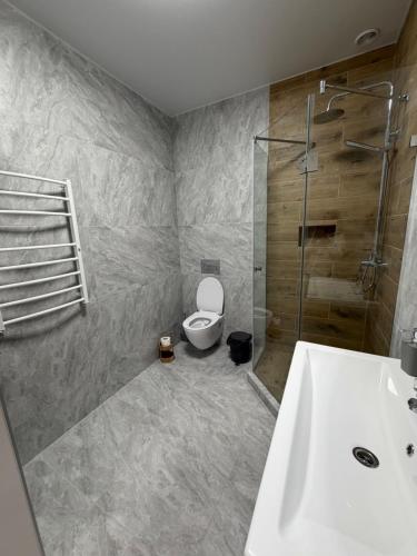a bathroom with a toilet and a shower and a sink at Апартаменти Фігля з видом на гори in Mukacheve