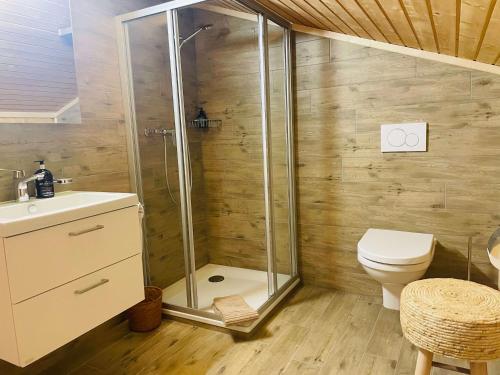 a bathroom with a shower and a toilet at Chalet Royal in Les Diablerets
