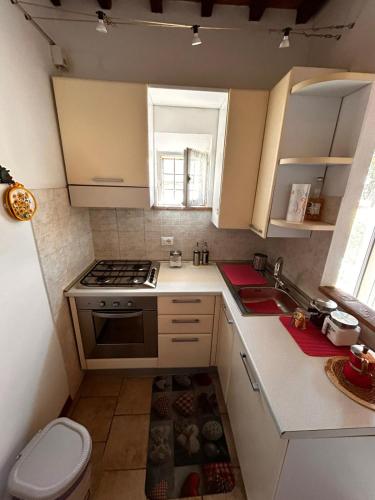 a small kitchen with a sink and a stove at La Sosta Nel Chianti in Castelnuovo Berardenga