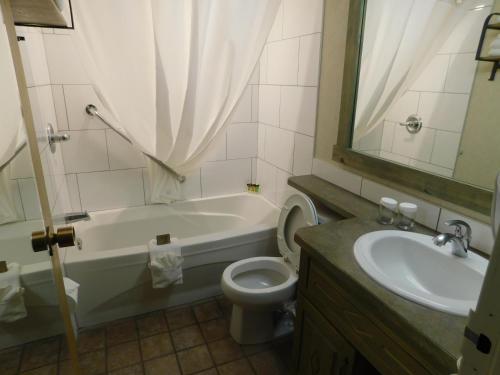 a bathroom with a tub and a toilet and a sink at Douglas Fir Resort & Chalets in Banff