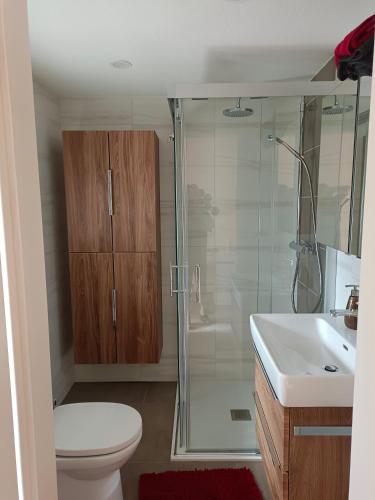 a bathroom with a shower and a toilet and a sink at Ferienhaus Strohmayer in Schweiggers