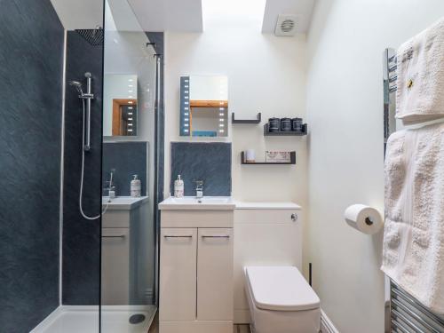 a bathroom with a shower and a toilet and a sink at Henlle Home Farm in Oswestry