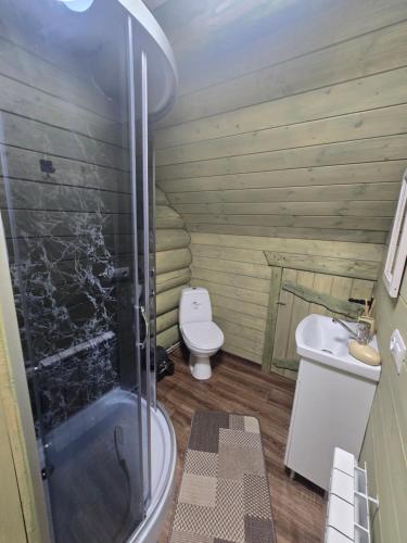 a bathroom with a toilet and a shower and a sink at Synevyr House 2 in Synevyrsʼka Polyana