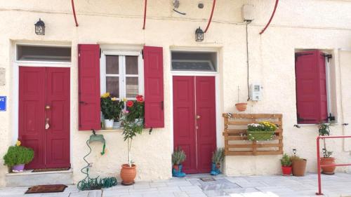 Gorgona House