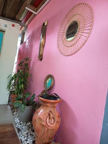 a pink wall with a large vase and a mirror at Ma chambre Javanaise in Port-Louis