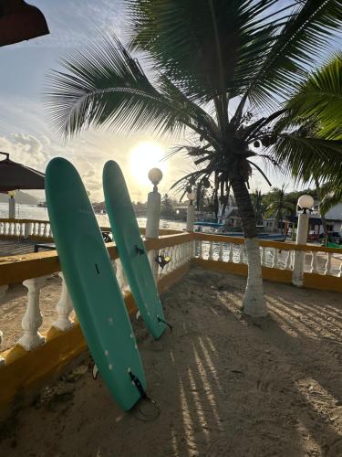 zwei Surfbretter lehnten an einem Zaun neben einer Palme in der Unterkunft Hotel Cocotal in Isla Grande