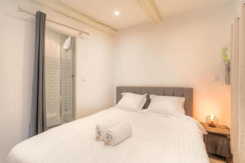 Beautiful bright apartment - Near Fourvière