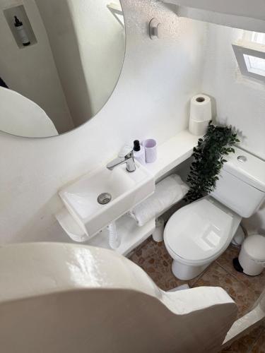 Renovated 100yo Cycladic Home in center of Naousa