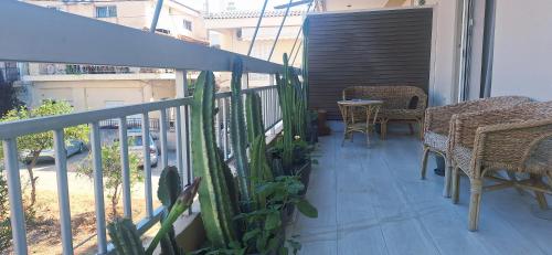 sunny apartment