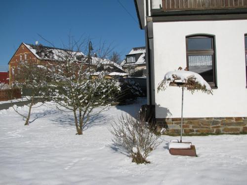 a snow covered yard with a house and a tree at Reiterhof & Pension Lienemann in Grünbach