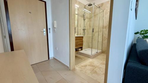a bathroom with a walk in shower and a toilet at Šturka Apartment in Martin